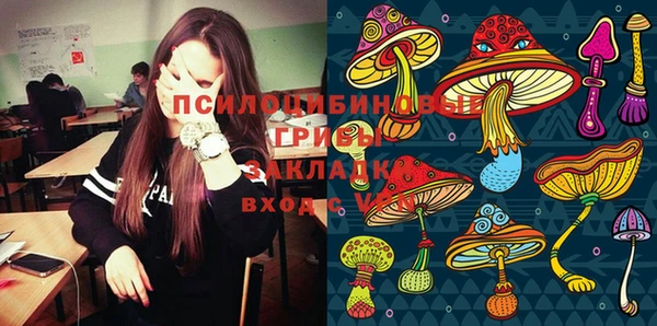 ешки Алзамай