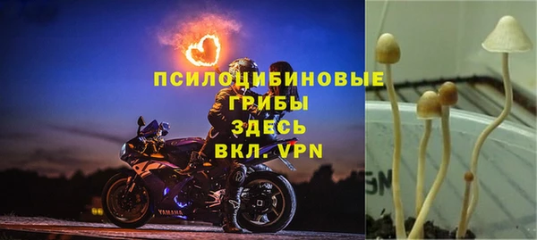 2c-b Алексин