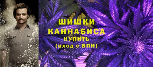 ешки Алзамай