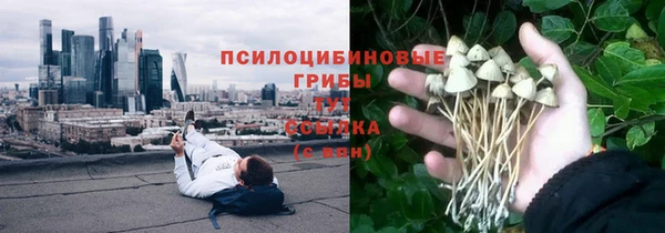 2c-b Алексин