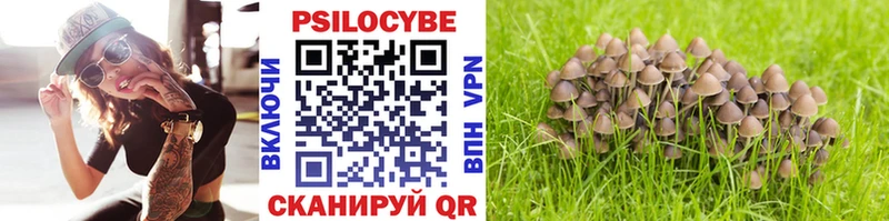Псилоцибиновые грибы ЛСД  Камешково 