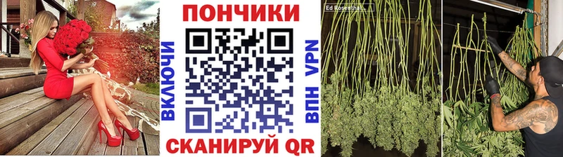 где купить наркотик  Камешково  Бошки Шишки конопля 